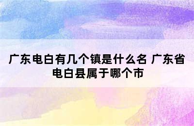 广东电白有几个镇是什么名 广东省电白县属于哪个市